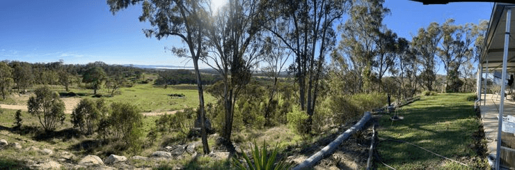 204 Wylie Creek Road, WYLIE CREEK, NSW 2372