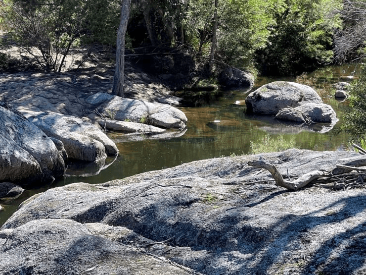 204 Wylie Creek Road, WYLIE CREEK, NSW 2372