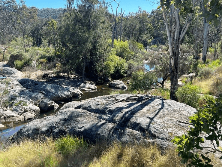 204 Wylie Creek Road, WYLIE CREEK, NSW 2372