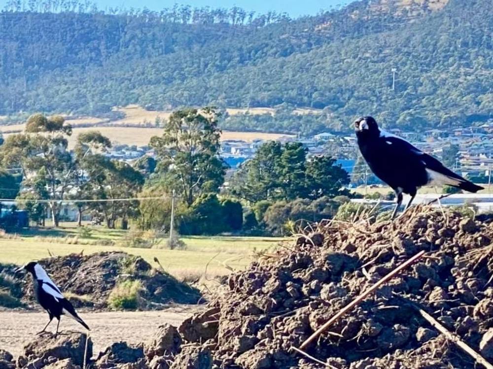 Lot 101 Enchantress St, Rokeby, TAS 7019