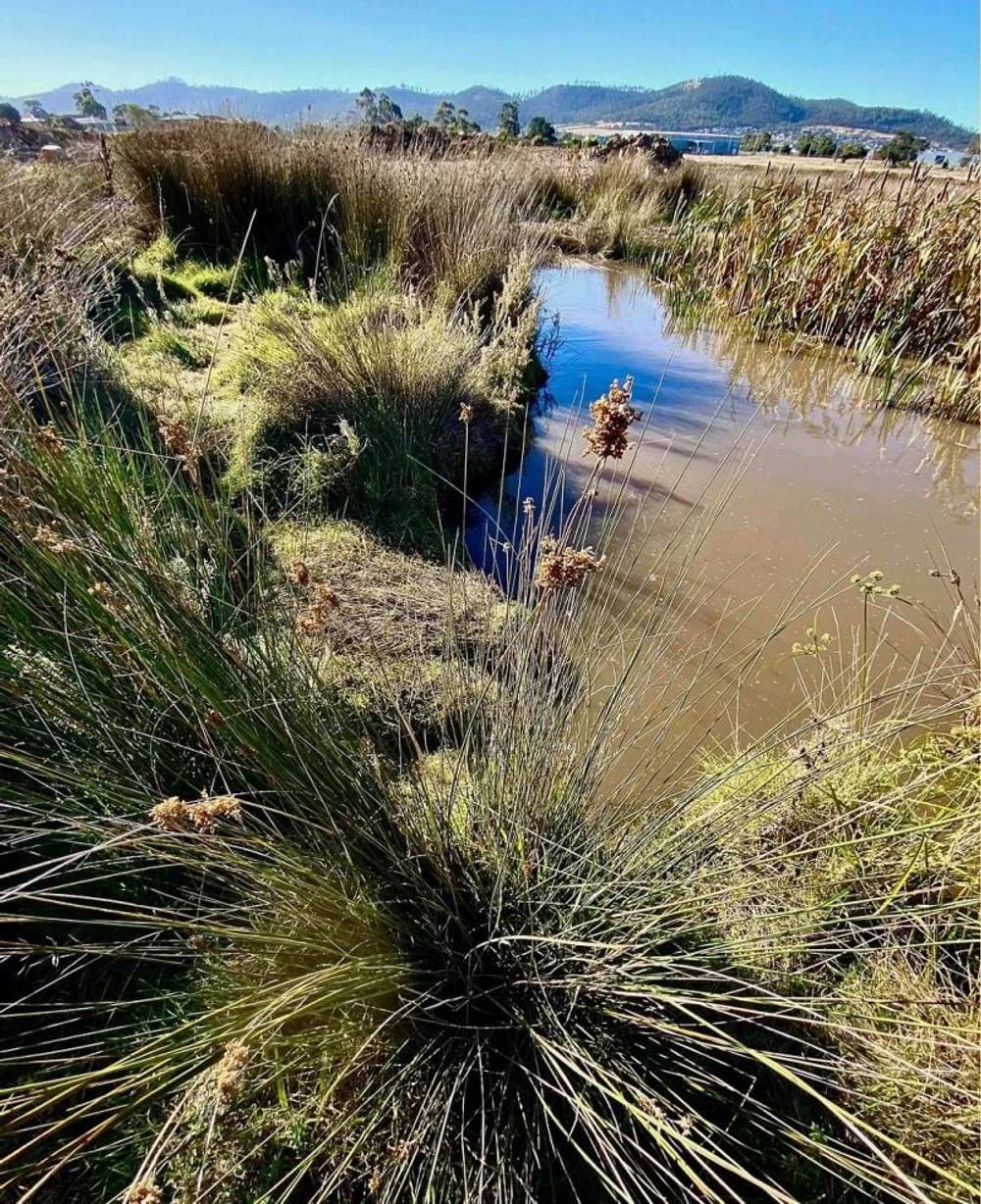 Lot 101 Enchantress St, Rokeby, TAS 7019