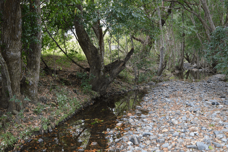 101 AHERNS Road, CONONDALE, QLD 4552