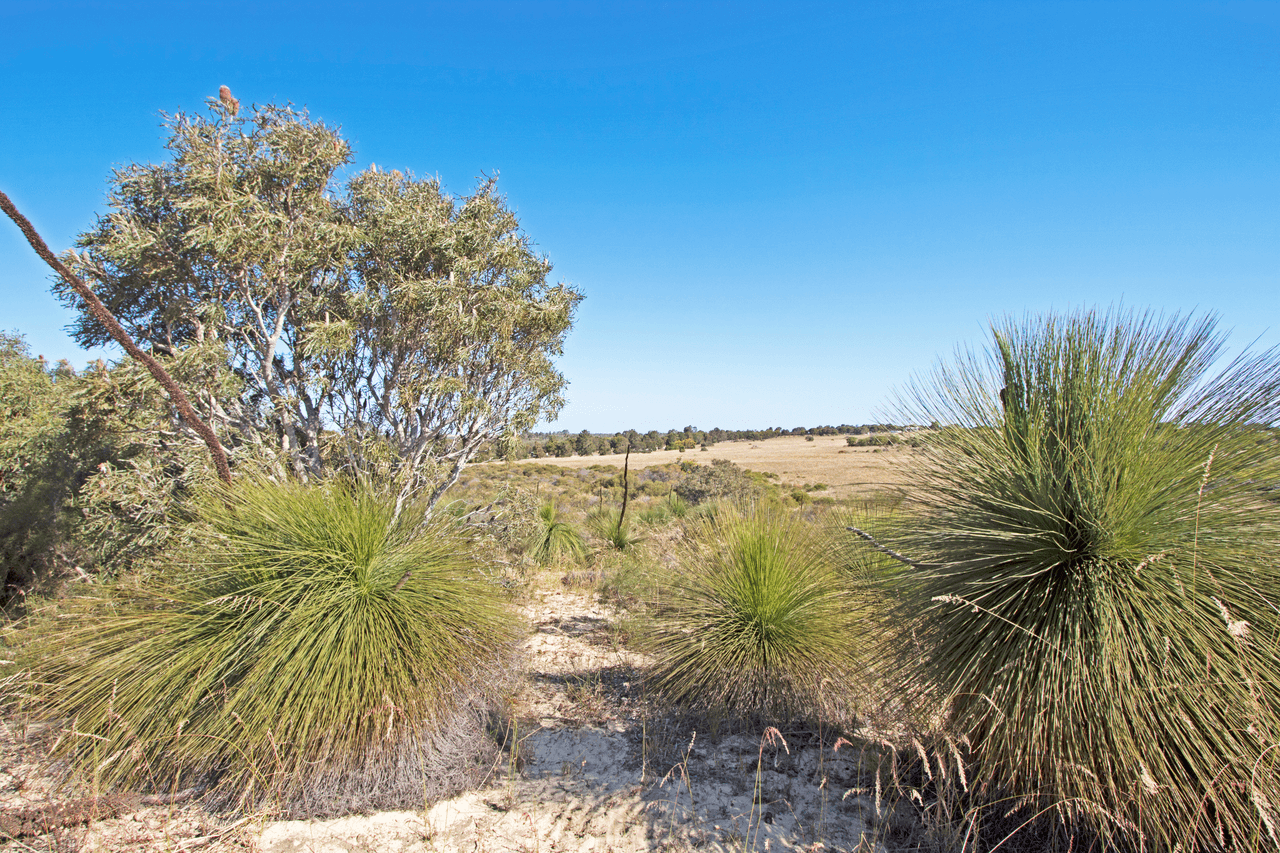 Canover Road, JURIEN BAY, WA 6516