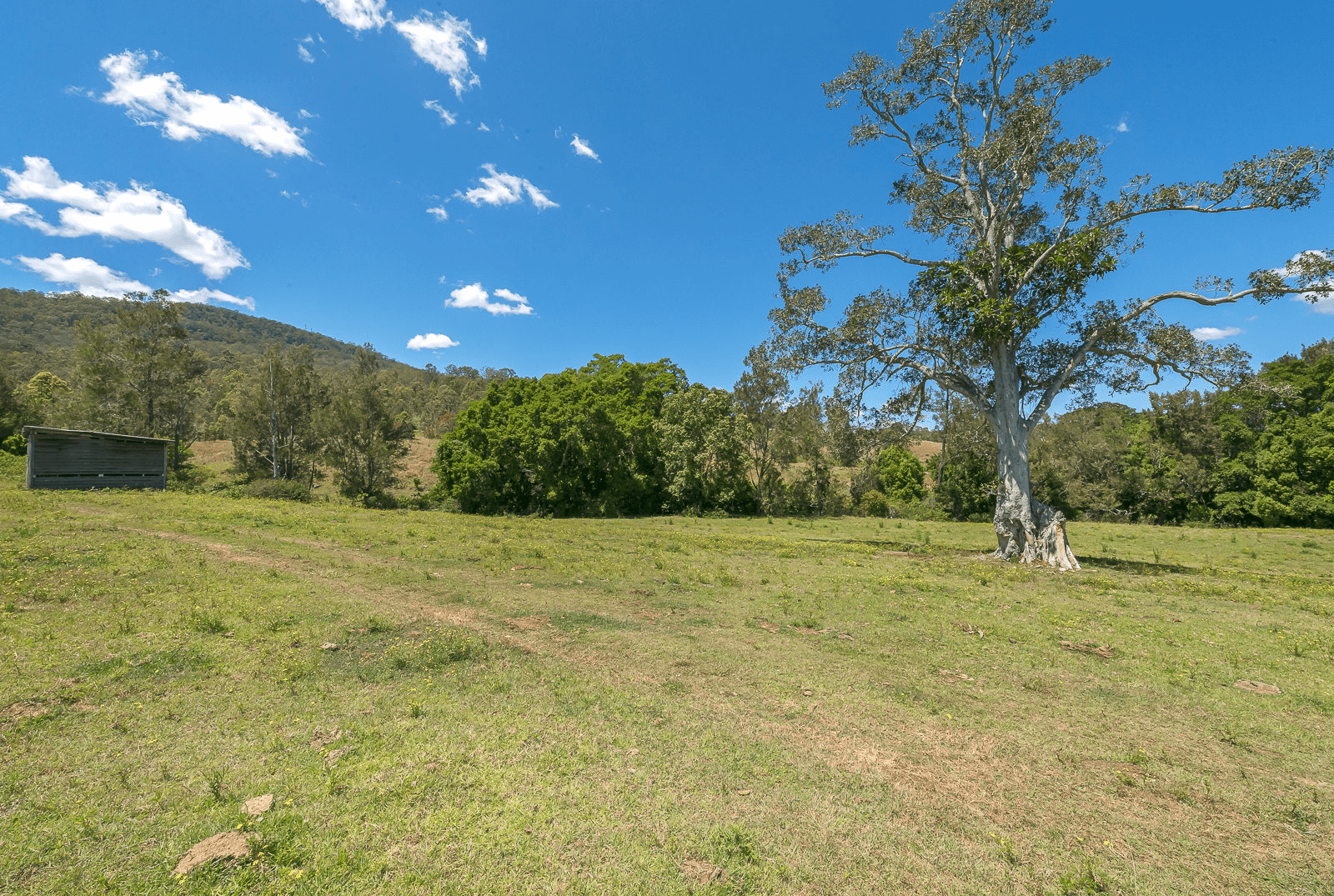 2558 Beaudesert Nerang Road, CANUNGRA, QLD 4275