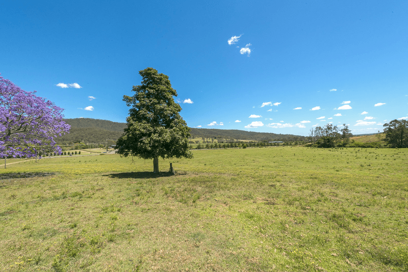 2558 Beaudesert Nerang Road, CANUNGRA, QLD 4275