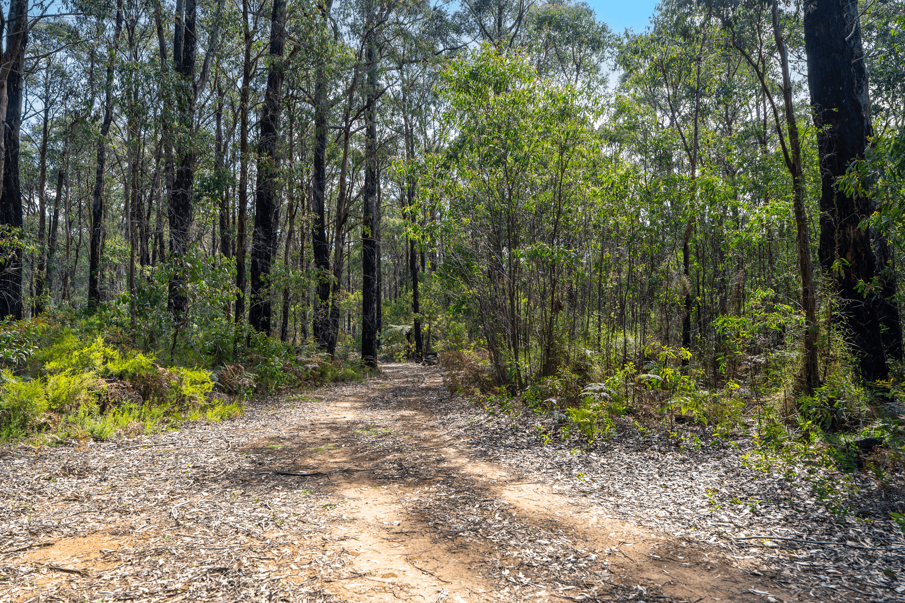 224 Edenvale Crescent, KINGLAKE WEST, VIC 3757