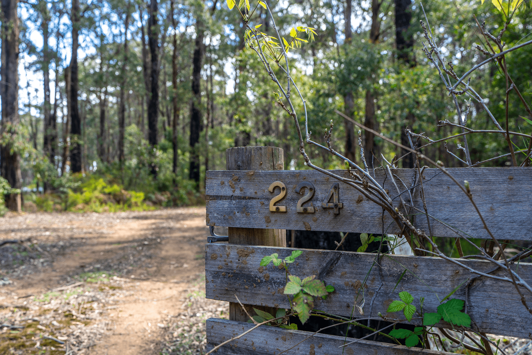 224 Edenvale Crescent, KINGLAKE WEST, VIC 3757