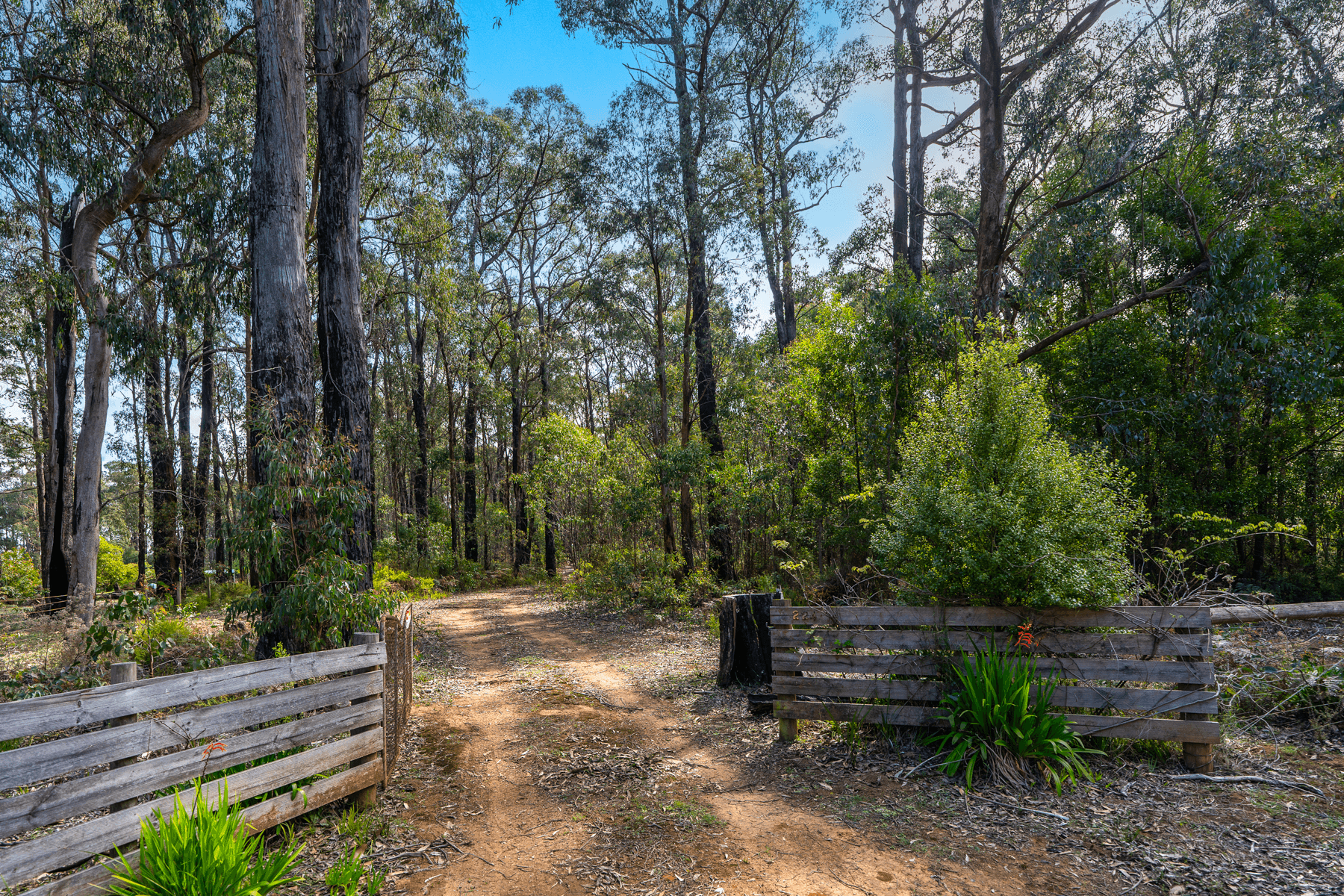 224 Edenvale Crescent, KINGLAKE WEST, VIC 3757