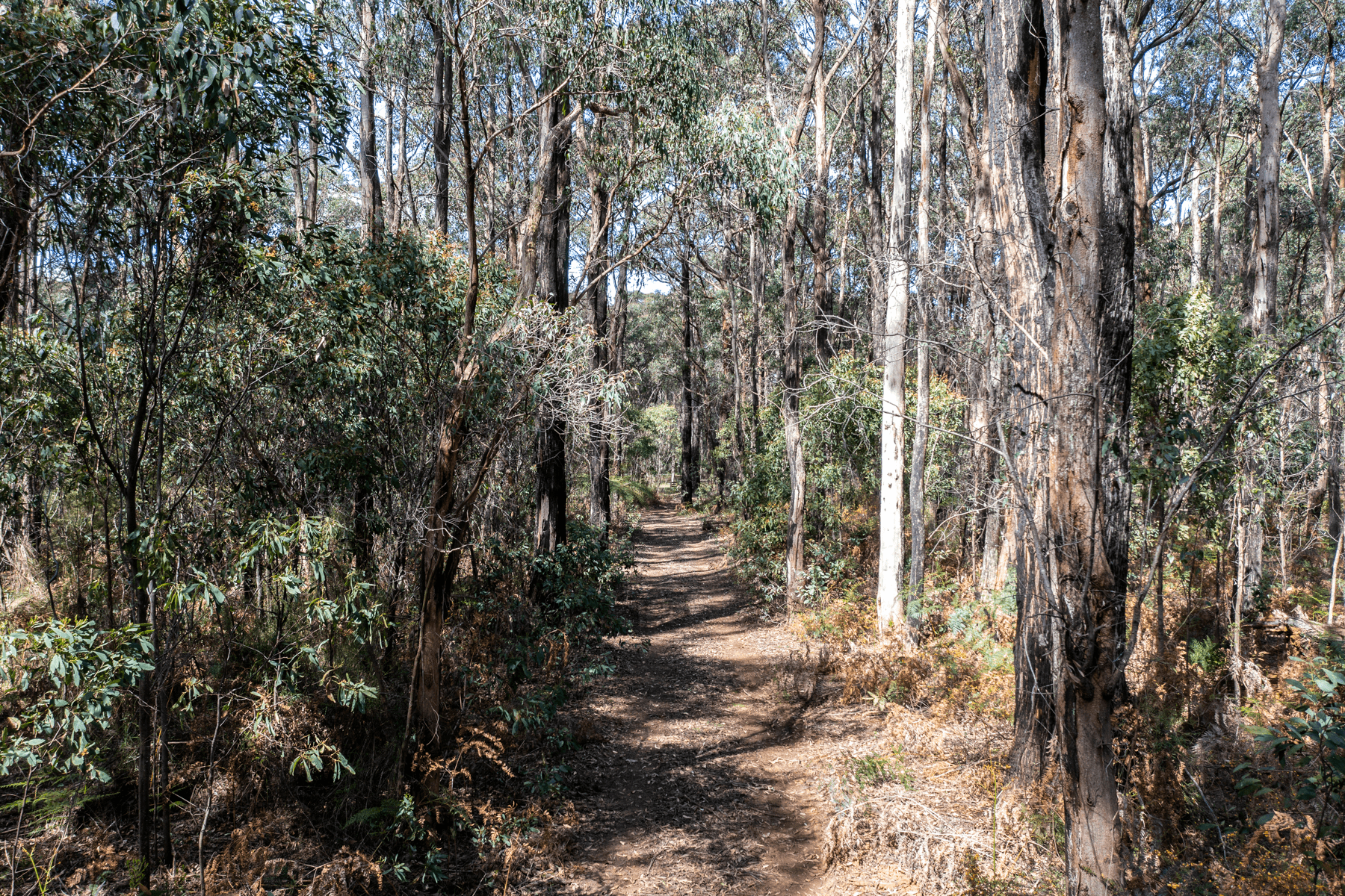 224 Edenvale Crescent, KINGLAKE WEST, VIC 3757