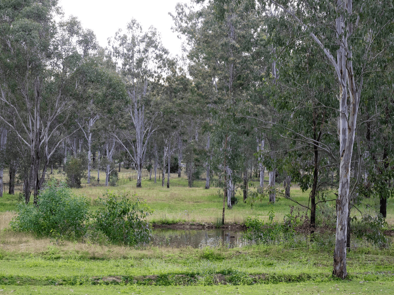 38 Flagstone Court, SOUTH MACLEAN, QLD 4280