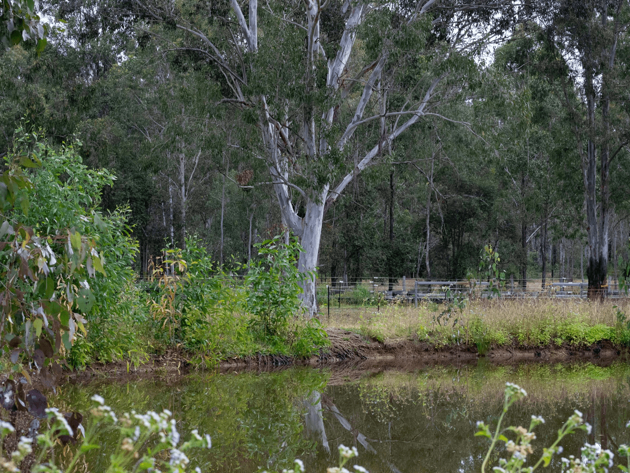 38 Flagstone Court, SOUTH MACLEAN, QLD 4280