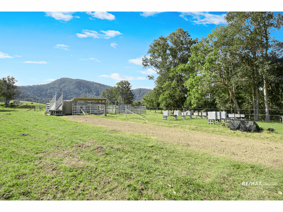 Cookes Road, Conondale, QLD 4552