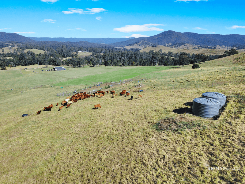 Cookes Road, Conondale, QLD 4552