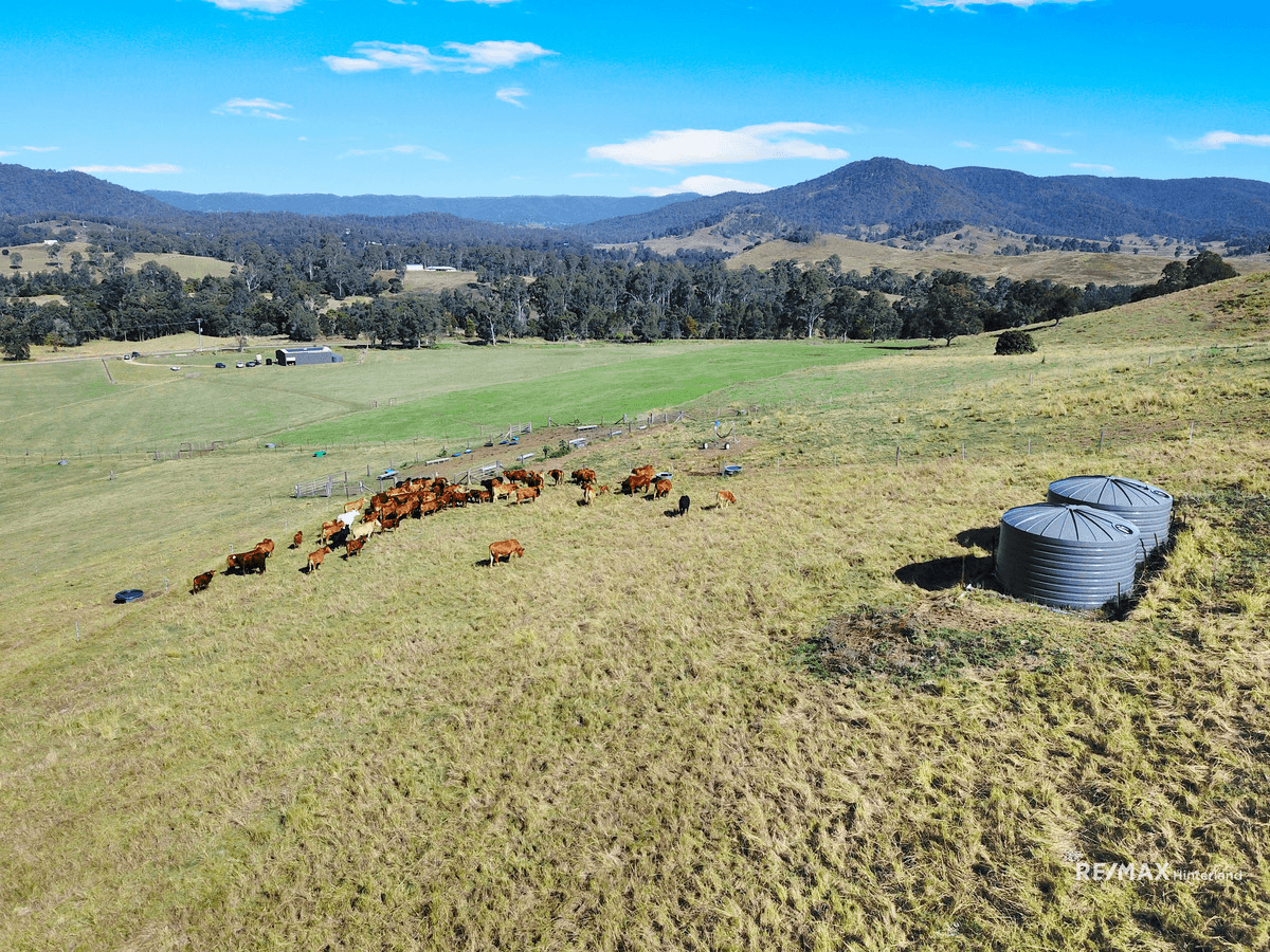 Cookes Road, Conondale, QLD 4552