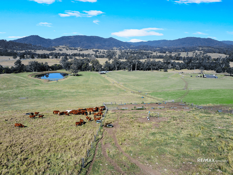 Cookes Road, Conondale, QLD 4552