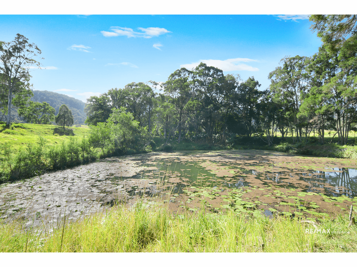 Cookes Road, Conondale, QLD 4552