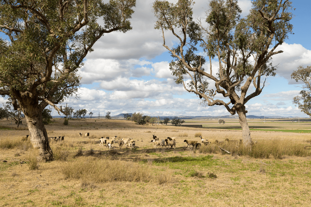 113 Oakey Crosshill Road, OAKEY, QLD 4401