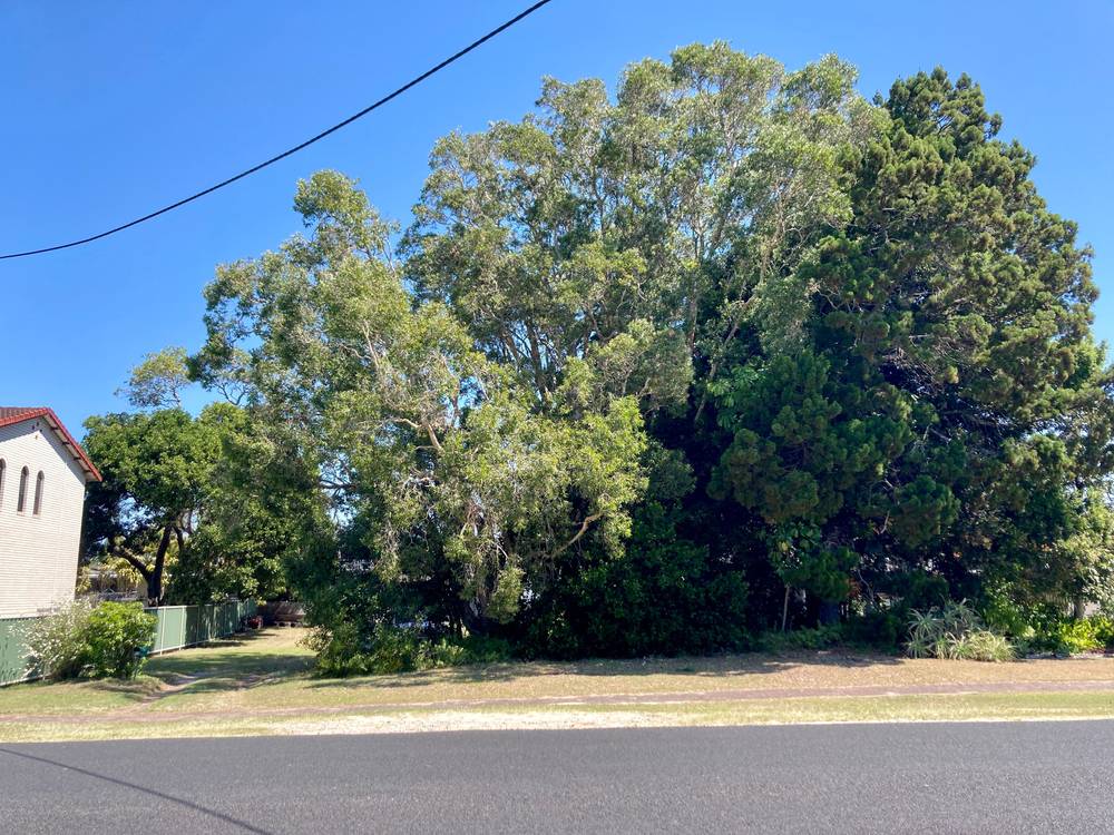 62 CHARLES STREET, ILUKA, NSW 2466