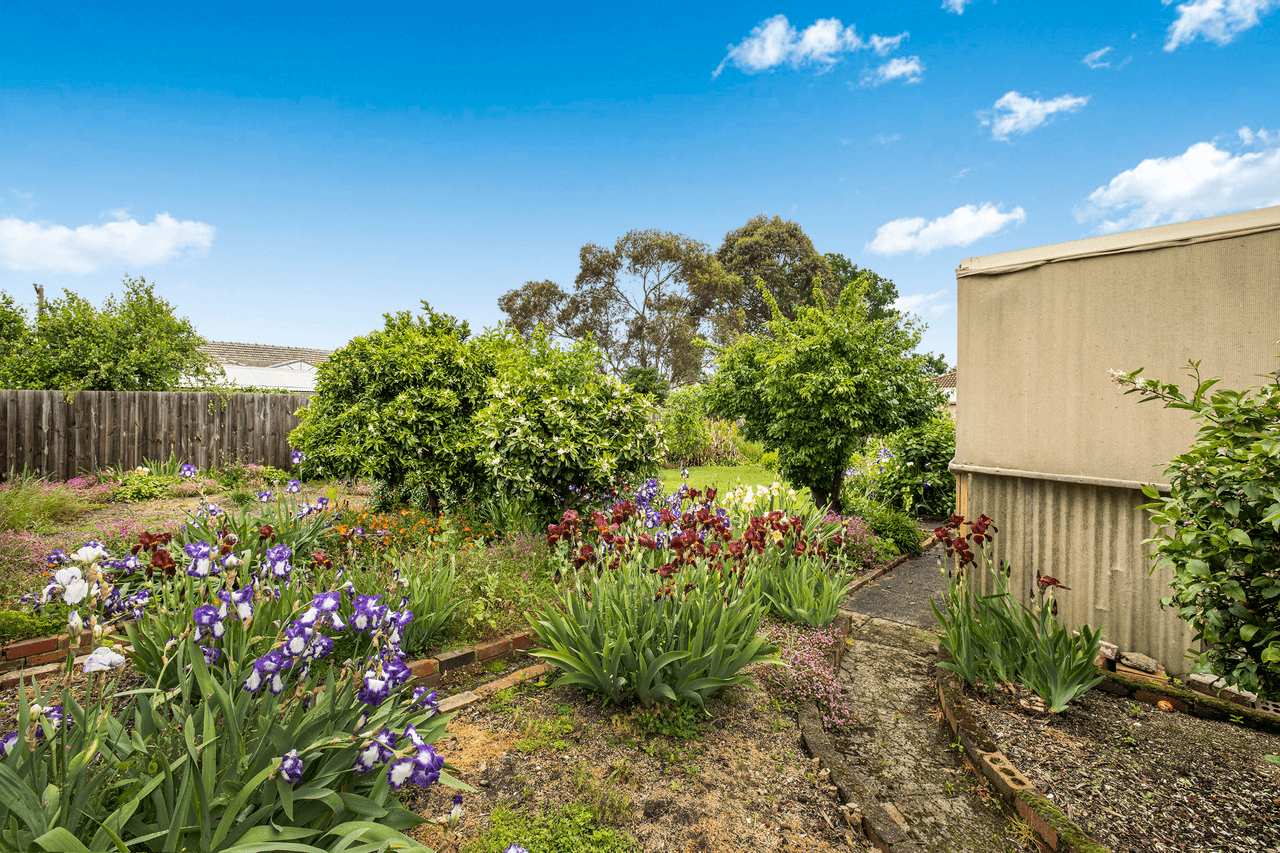 8 Ti Tree Lane, KOO WEE RUP, VIC 3981