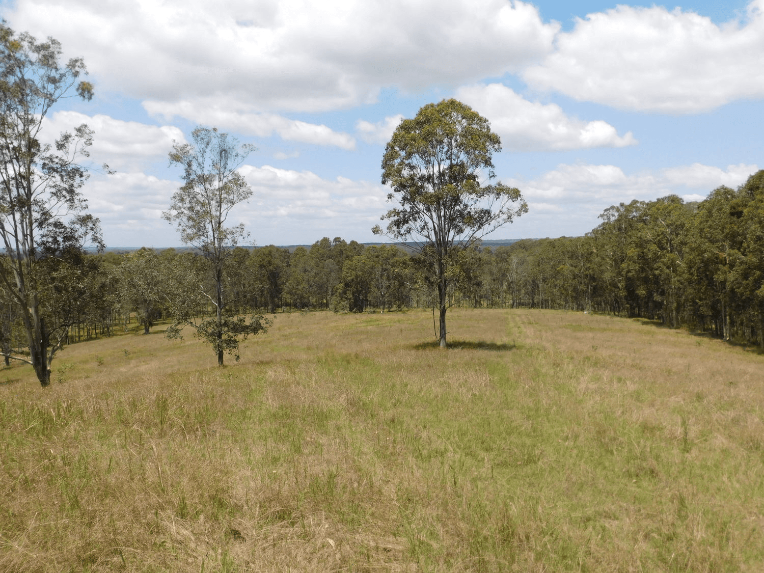 740 Mongogarie Road, LEEVILLE, NSW 2470