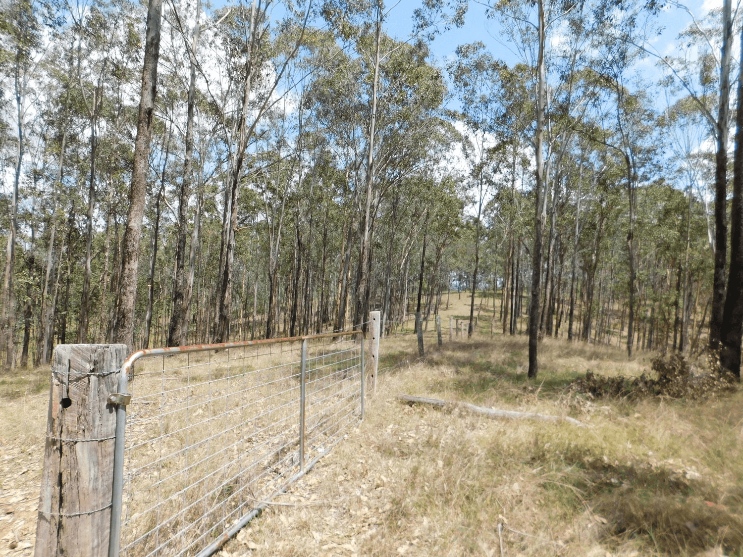 740 Mongogarie Road, LEEVILLE, NSW 2470