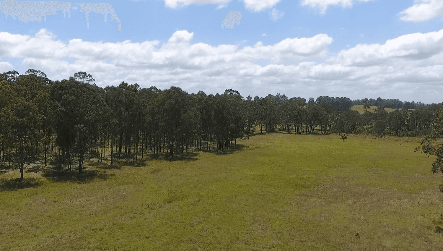 740 Mongogarie Road, LEEVILLE, NSW 2470