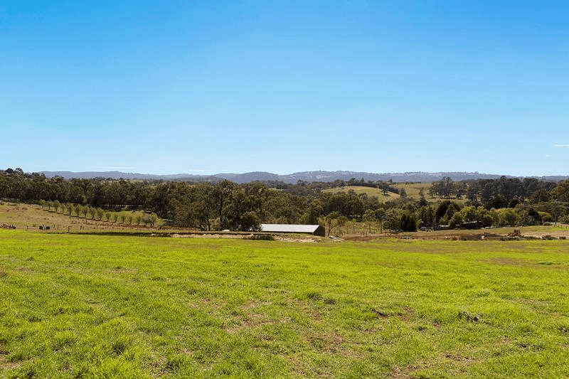 Edebohls Road, Narre Warren, VIC 3805