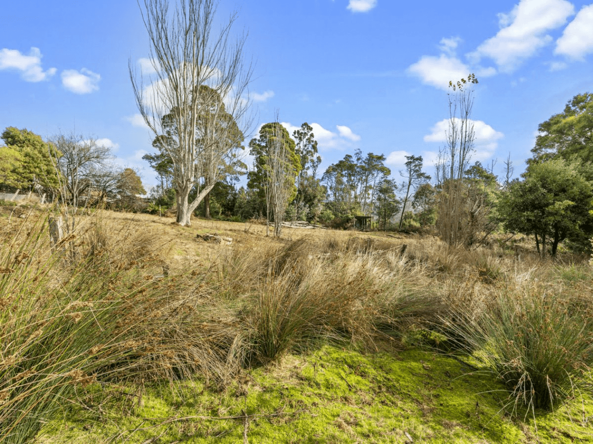 3326 Gordon River Road, FITZGERALD, TAS 7140