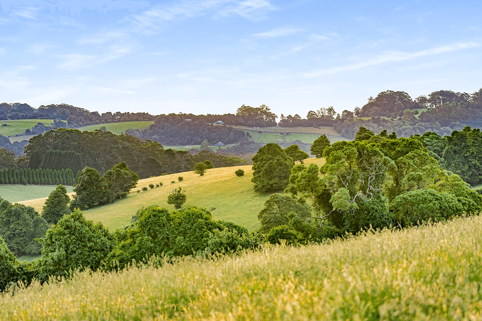 166 McEvilly Road, ROBERTSON, NSW 2577