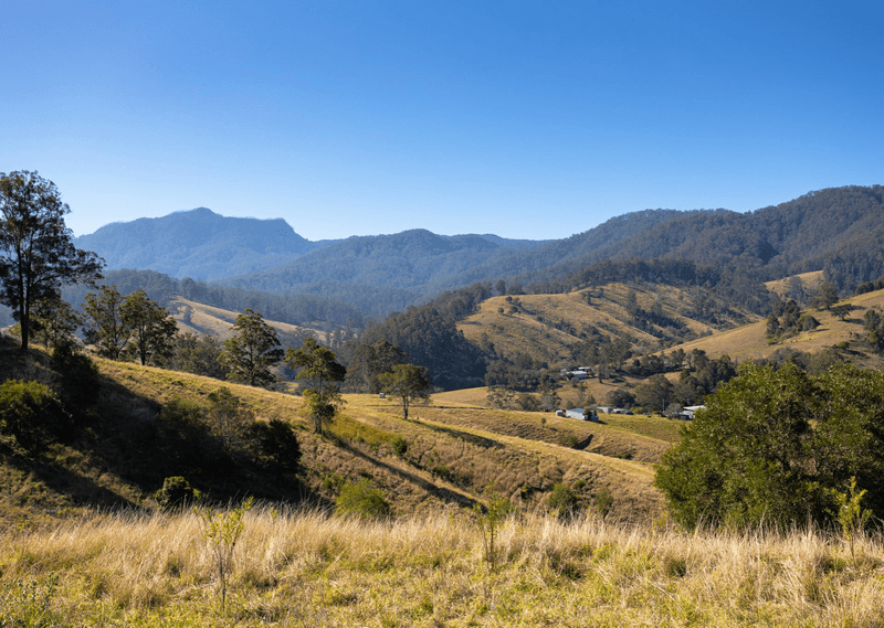 1473 Mooral Creek Road, MOORAL CREEK, NSW 2429