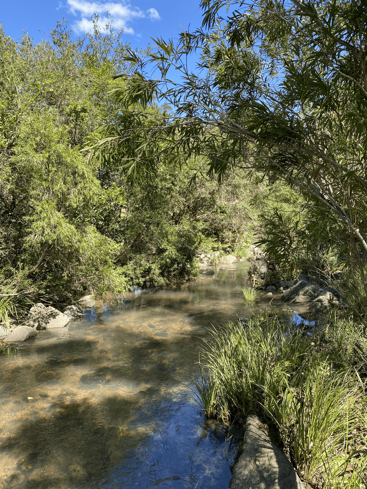 Lot 12 Upper Cedar Creek Road, CONONDALE, QLD 4552