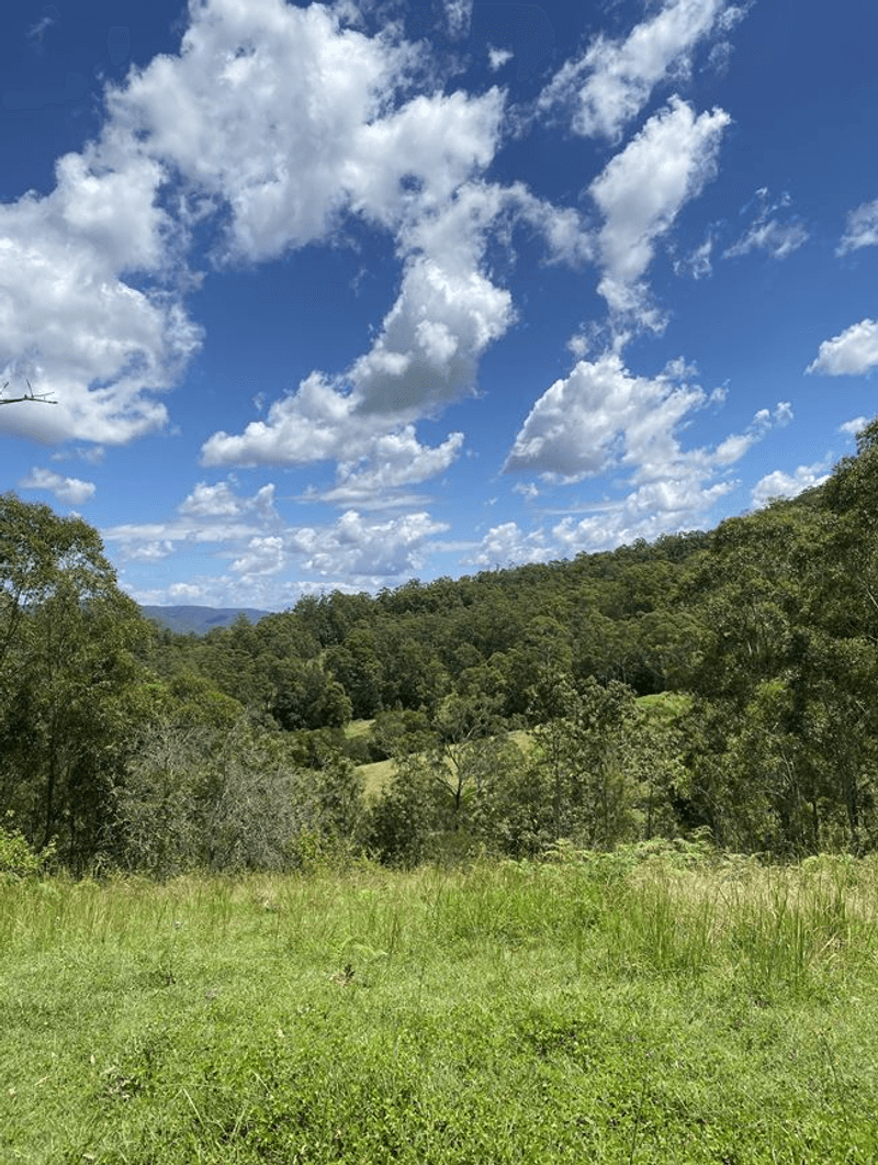 Lot 12 Upper Cedar Creek Road, CONONDALE, QLD 4552