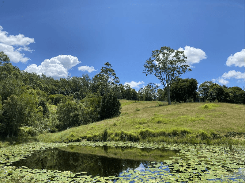 Lot 12 Upper Cedar Creek Road, CONONDALE, QLD 4552