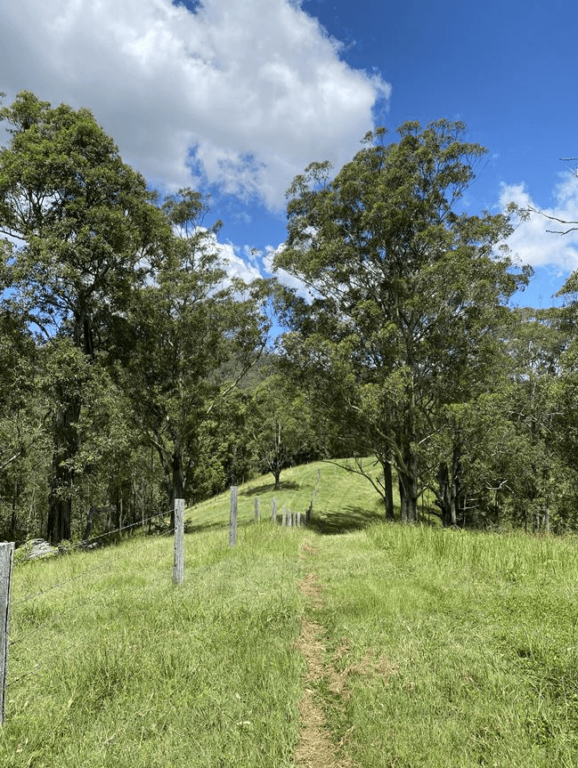 Lot 12 Upper Cedar Creek Road, CONONDALE, QLD 4552