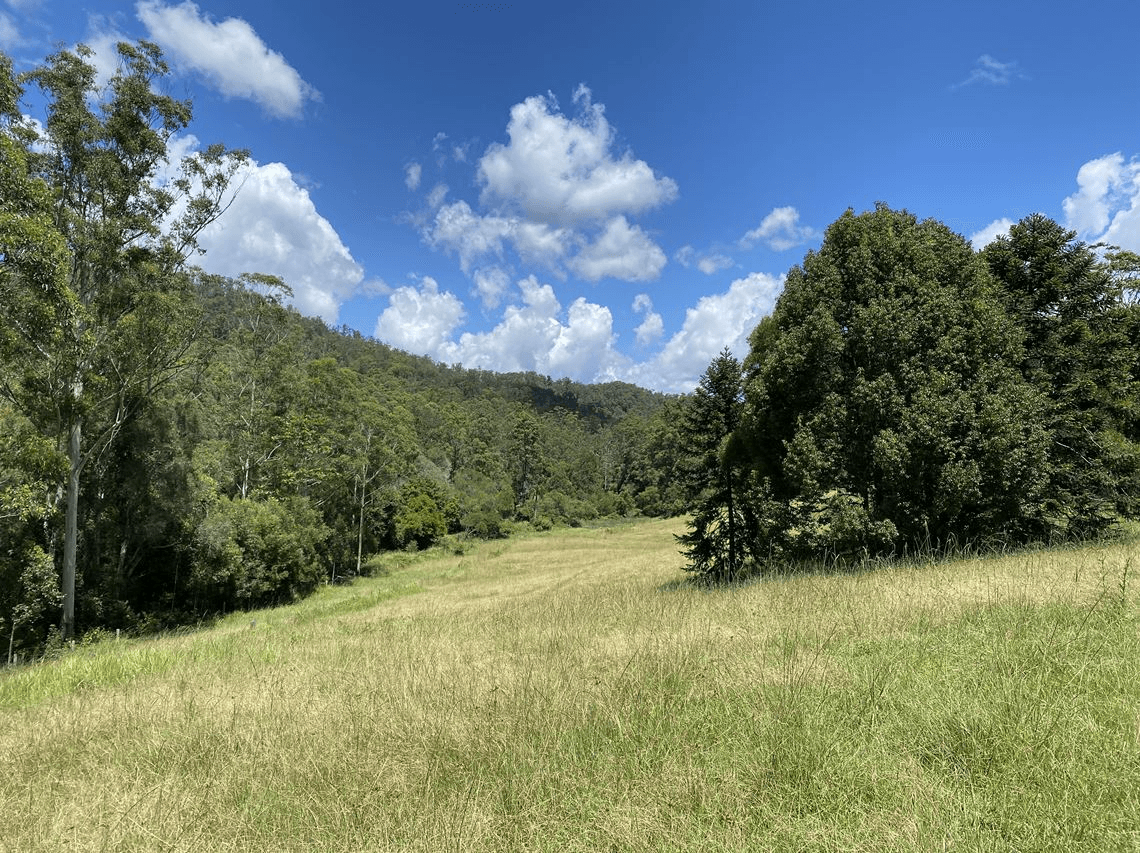 Lot 12 Upper Cedar Creek Road, CONONDALE, QLD 4552