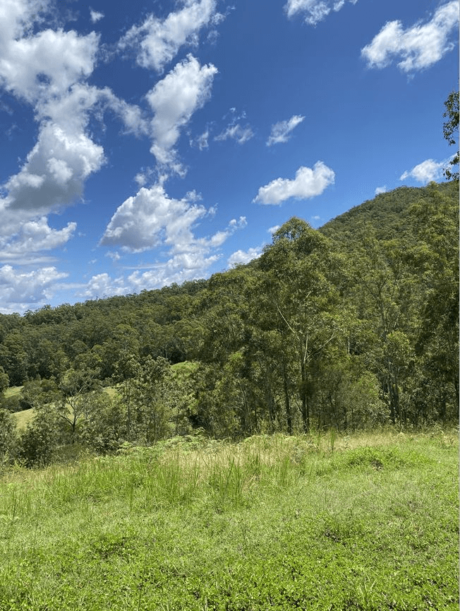 Lot 12 Upper Cedar Creek Road, CONONDALE, QLD 4552