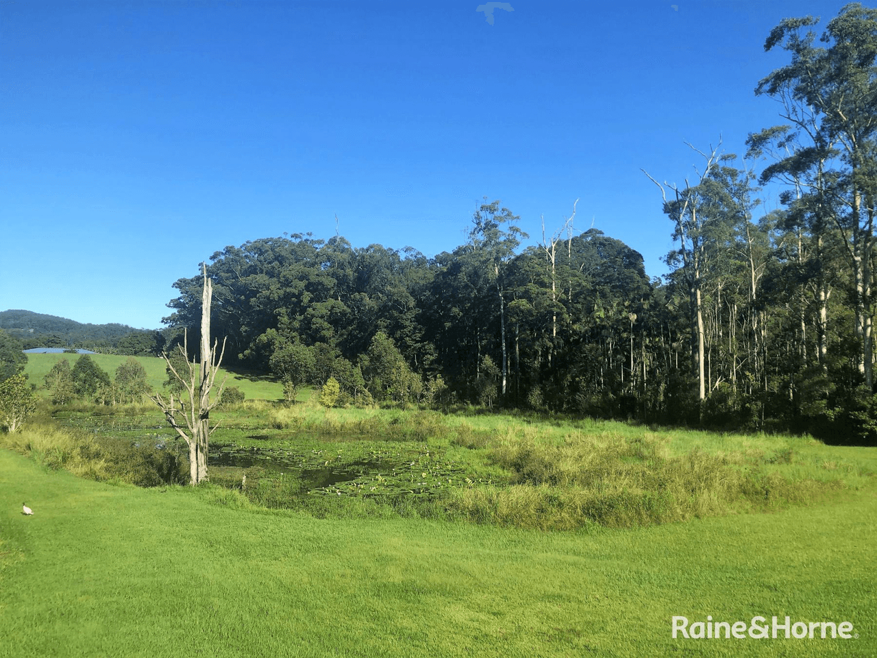 3 Slattery Place, COFFS HARBOUR, NSW 2450