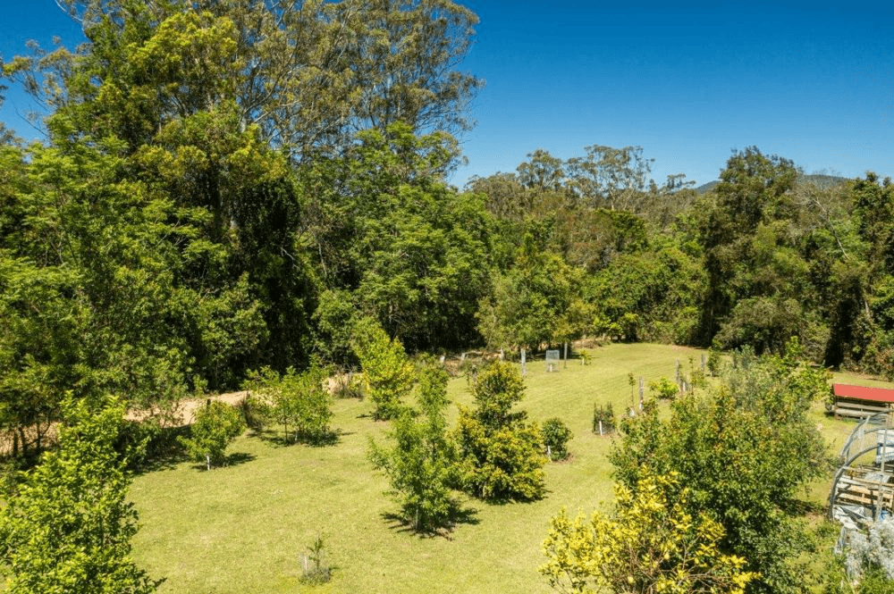 922 Forbes River Road, BIRDWOOD, NSW 2446