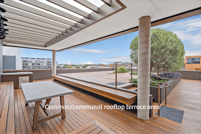 211/81 Macdonald Street, ERSKINEVILLE, NSW 2043