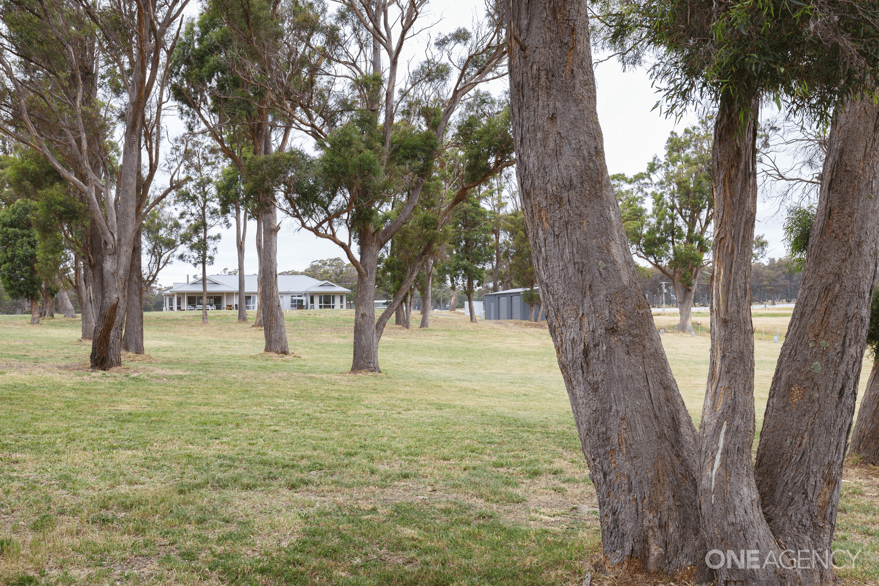 9 Charlies Lane, Carrick, TAS 7291