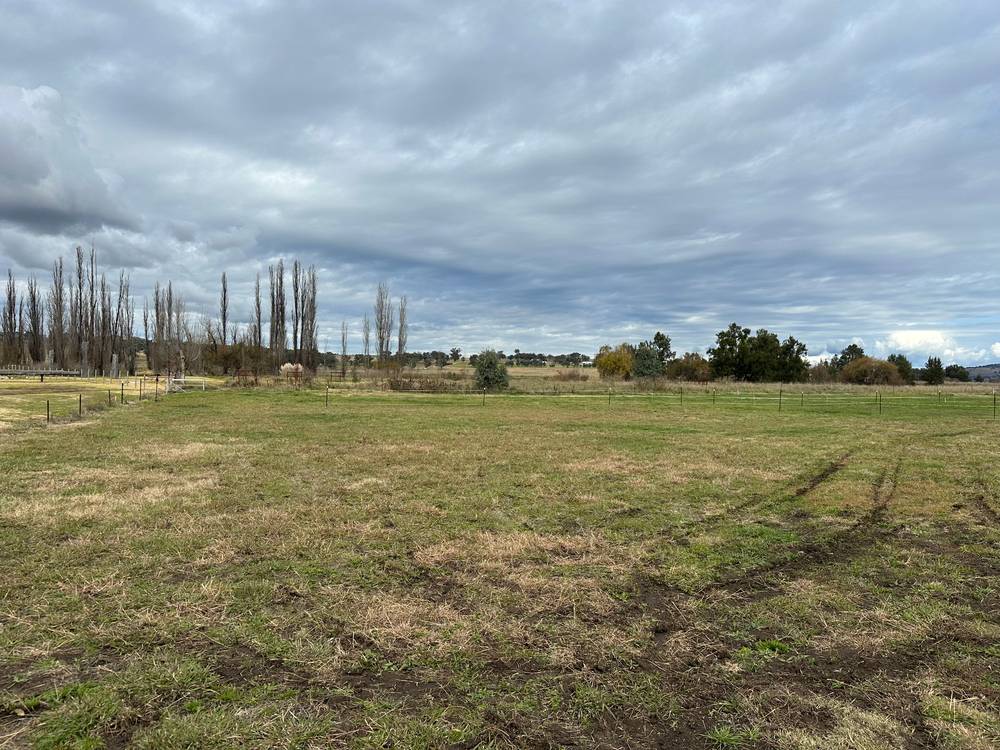 Boooyamurra Street, COOLAH, NSW 2843