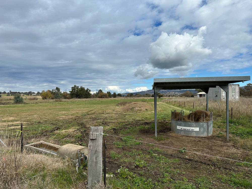 Boooyamurra Street, COOLAH, NSW 2843