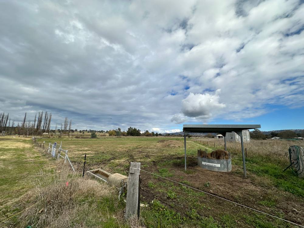 Boooyamurra Street, COOLAH, NSW 2843