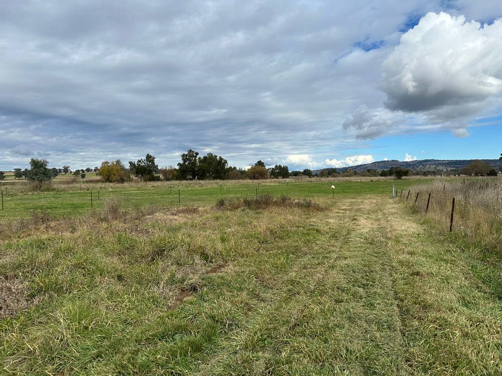 Boooyamurra Street, COOLAH, NSW 2843