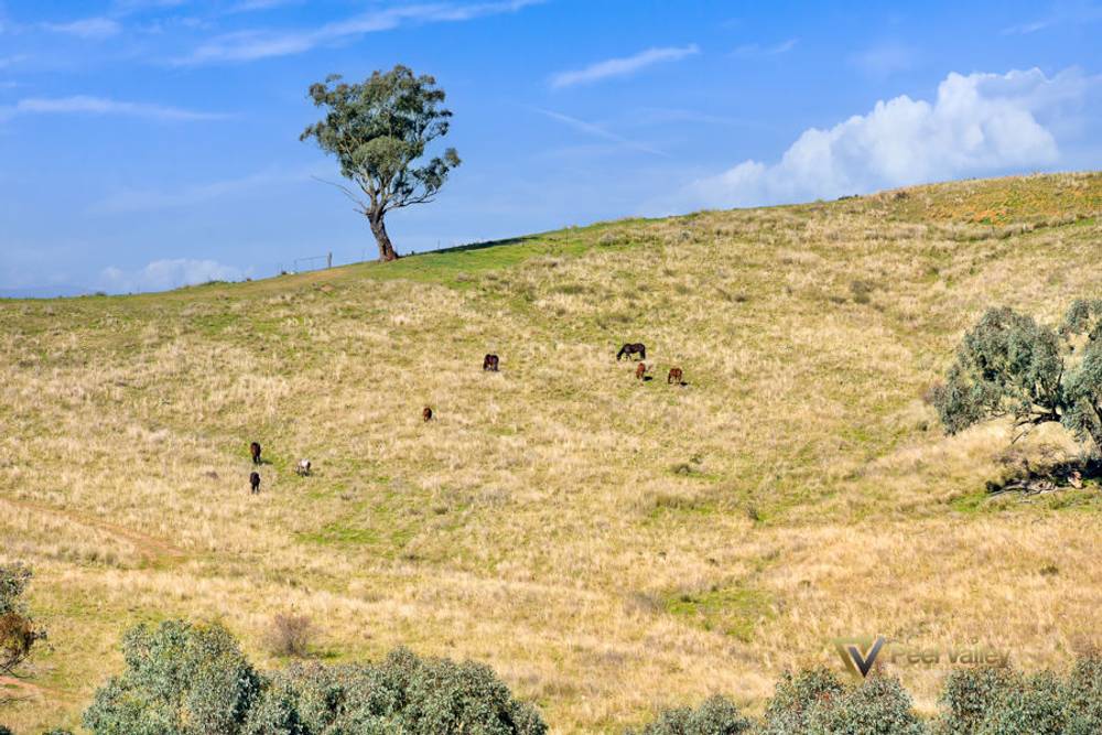 Lot 404 Winners Close, TAMWORTH, NSW 2340