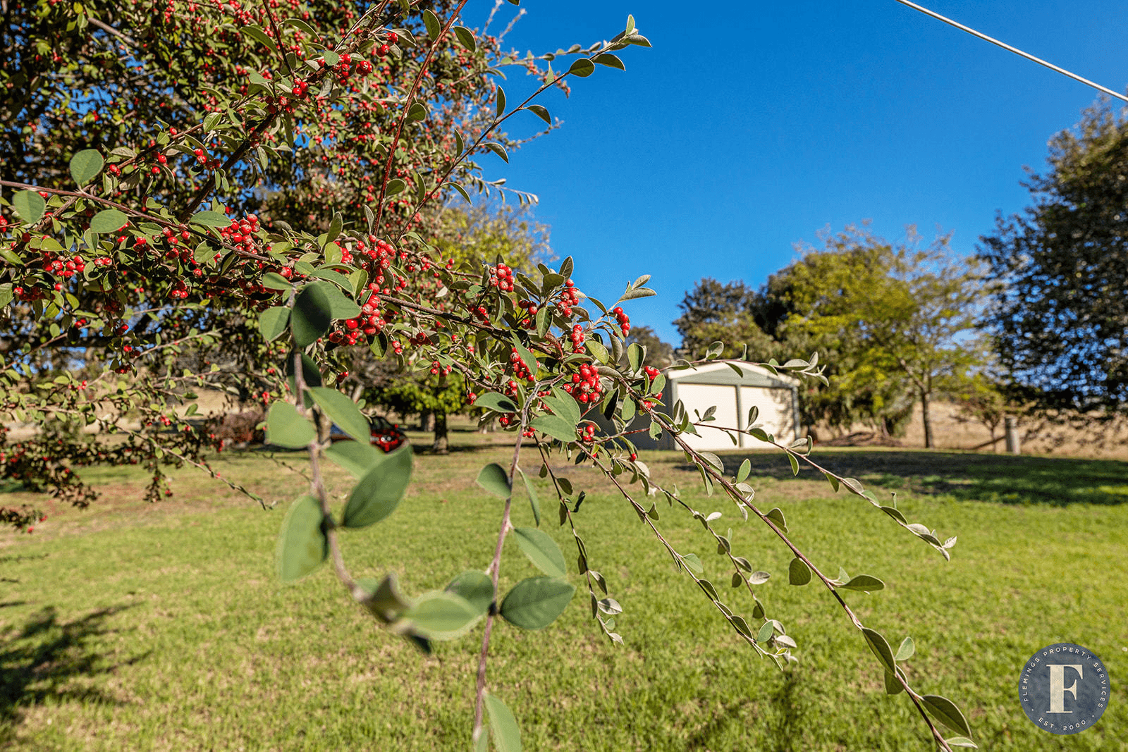 171 Frogmore Road, Boorowa, NSW 2586