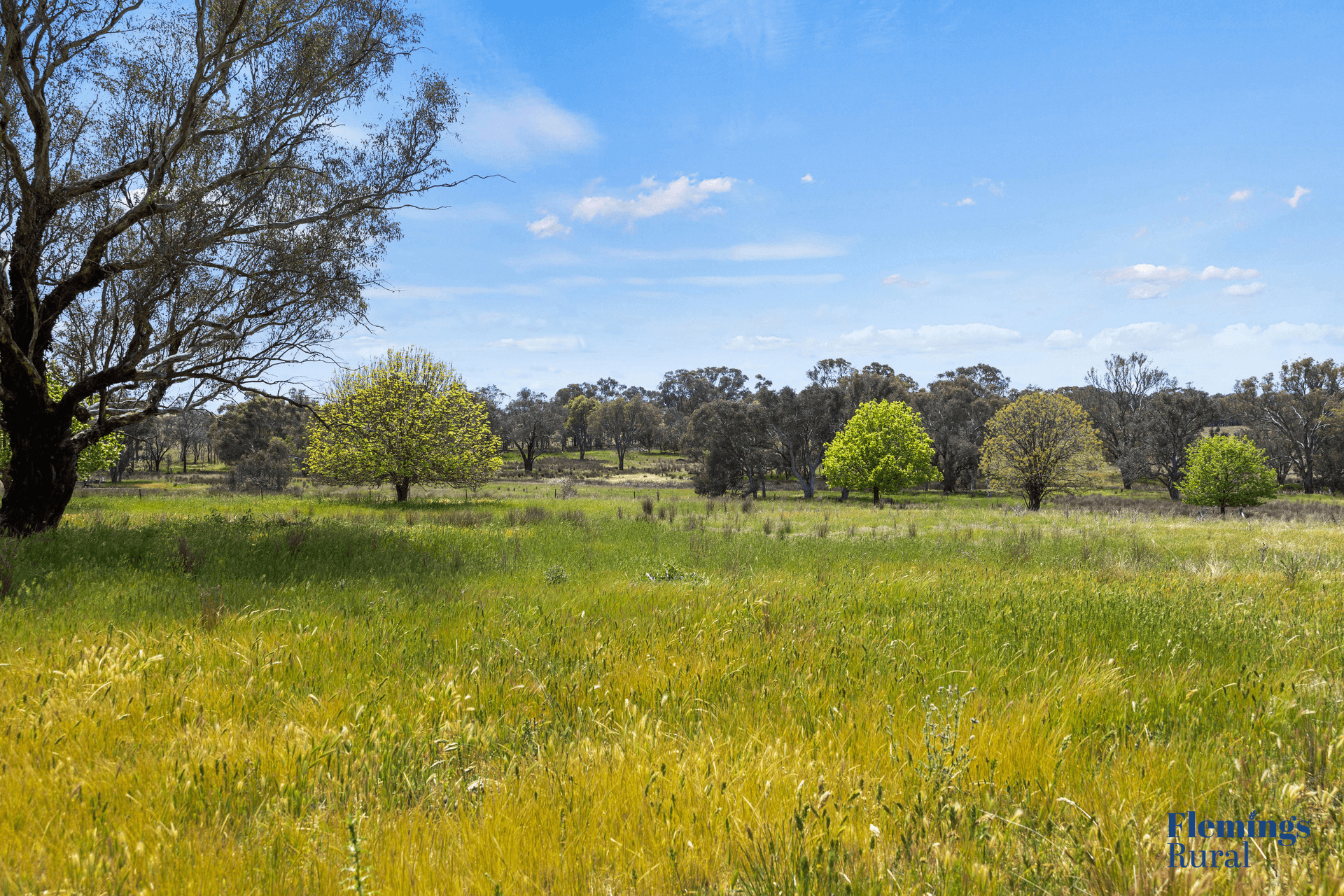 70 Sads Lane, Monteagle, NSW 2594