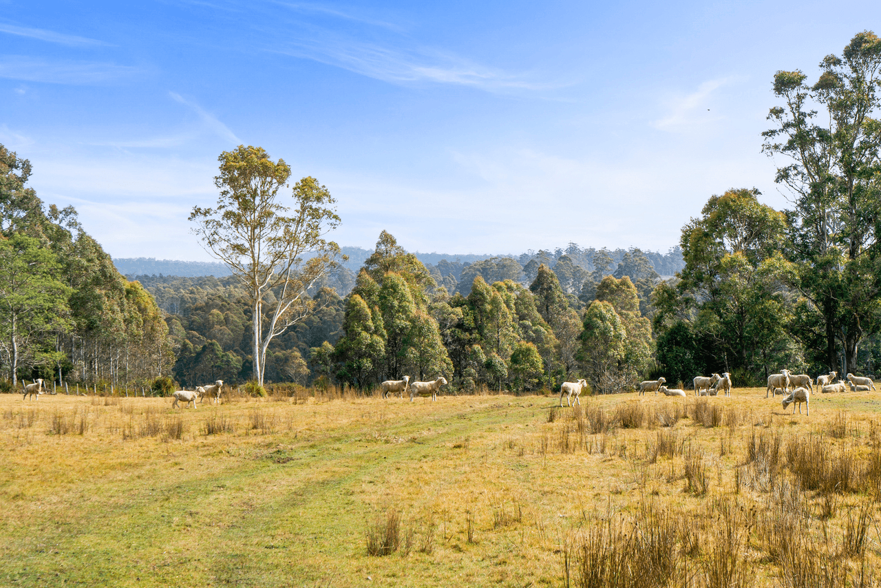 108 New Country Marsh Road, LEVENDALE, TAS 7120