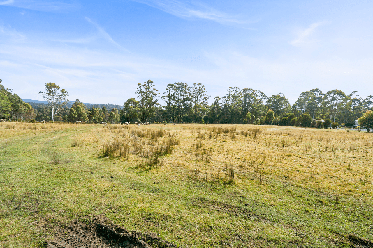 108 New Country Marsh Road, LEVENDALE, TAS 7120