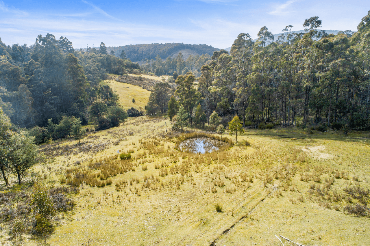 108 New Country Marsh Road, LEVENDALE, TAS 7120